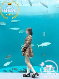 天音みらい【PREMIUM】