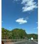 休日からの！
