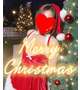 クリスマス🎄
