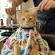 沢山のリクエストお待ちしています('◇')