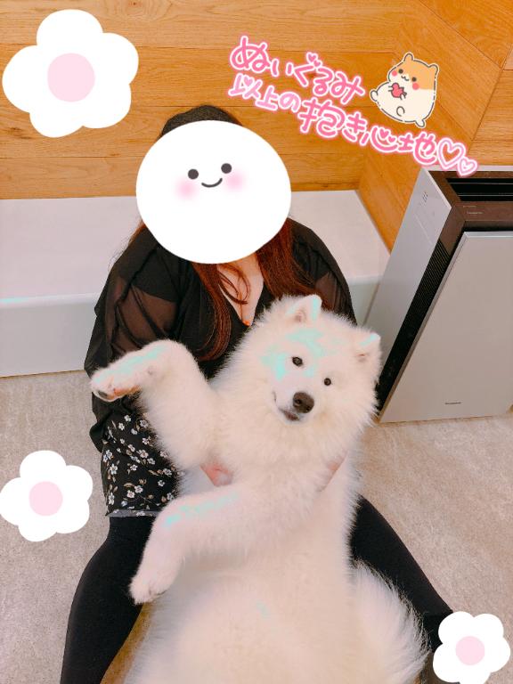 写メ日記サムネイル