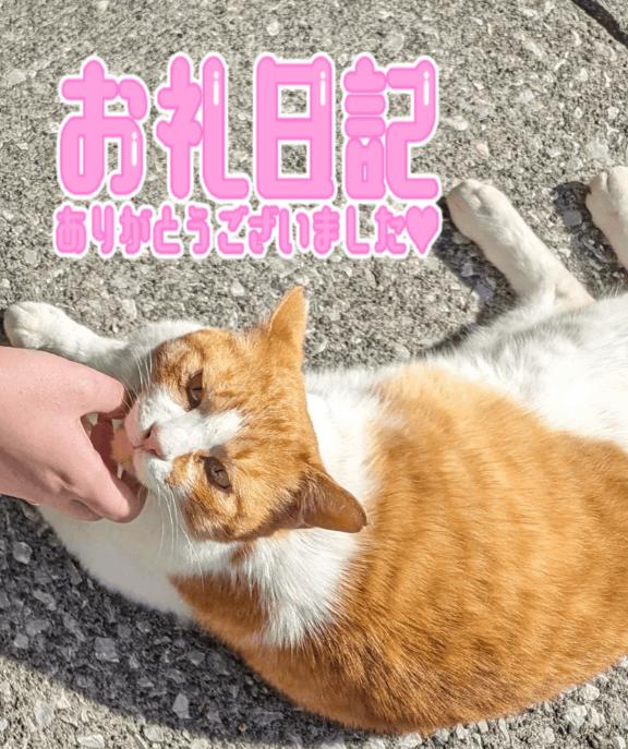 写メ日記サムネイル