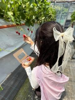 カホ◆完全業界未経験