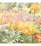 【ken681116様💌】