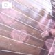 🌸実は🥺🥺🌸