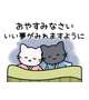 こんばんは！