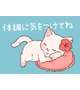 おはようございます！