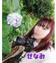 紫陽花の季節