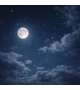 こんばんは🌙* :ﾟ