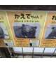 熊本旅行にて