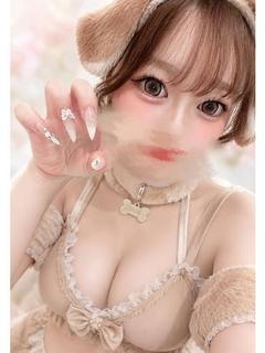 犬のココ（ふれあいコース）