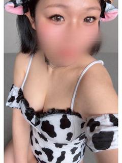 牛のともえ（ふれあいコース）