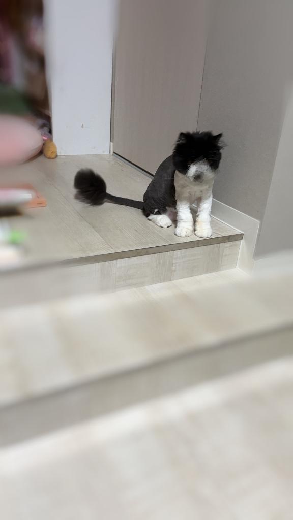 写メ日記サムネイル