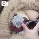 自慢っ