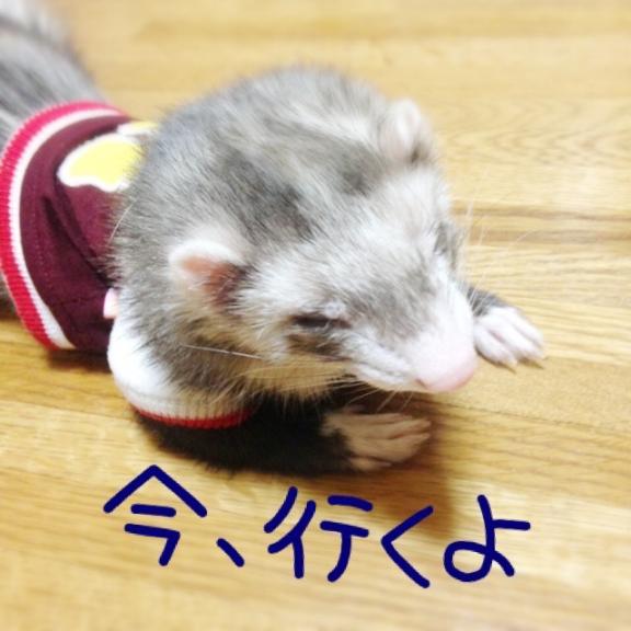 写メ日記サムネイル