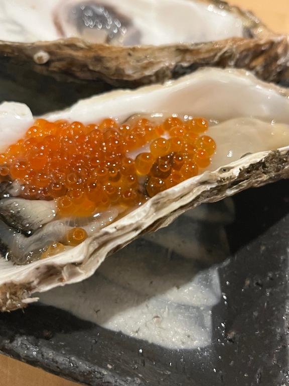 贅沢⸝⸝- ̫ -⸝⸝