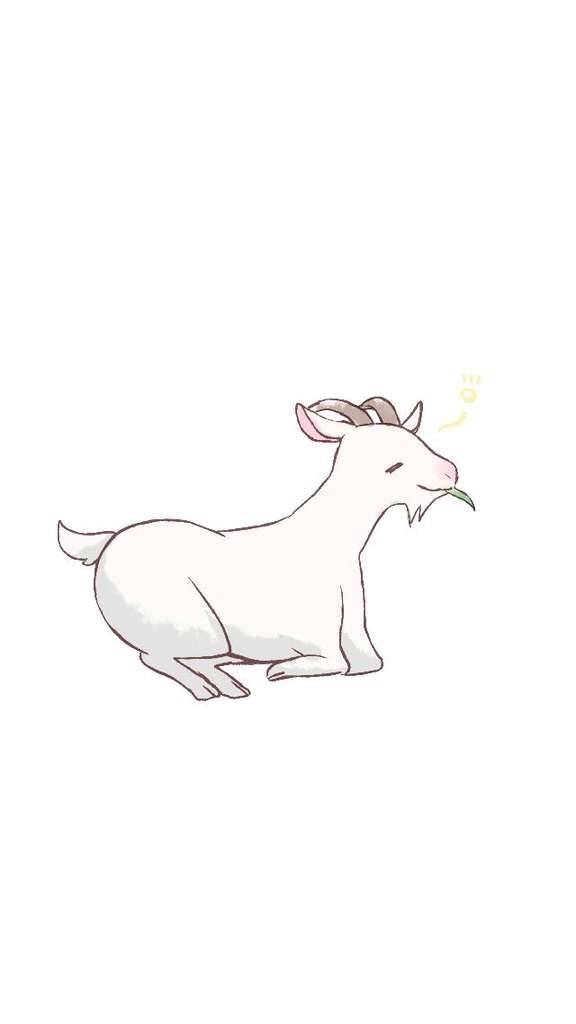 【アニマル診断】今日の運勢ランキング