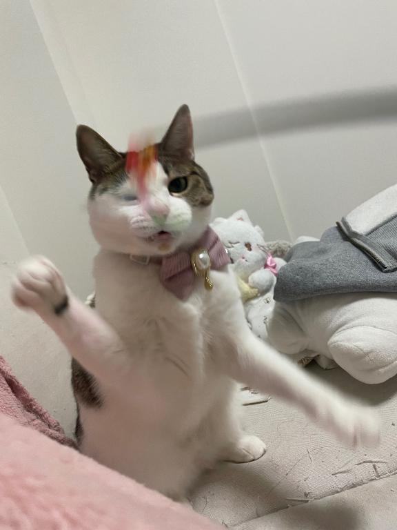 写メ日記サムネイル