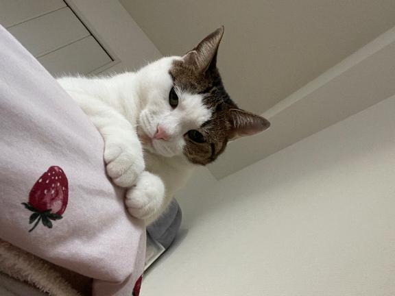 写メ日記サムネイル