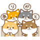 お礼🩷