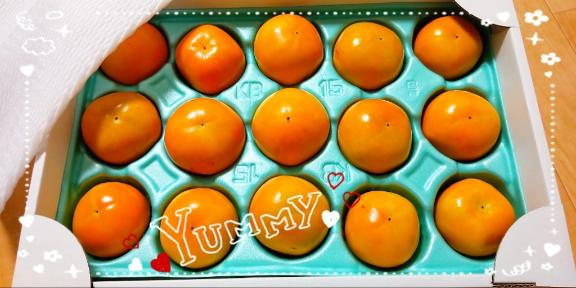 合ってるかしら