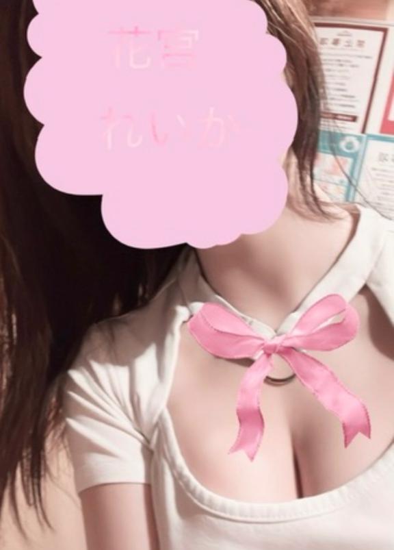 🩵夏の風物詩🩵