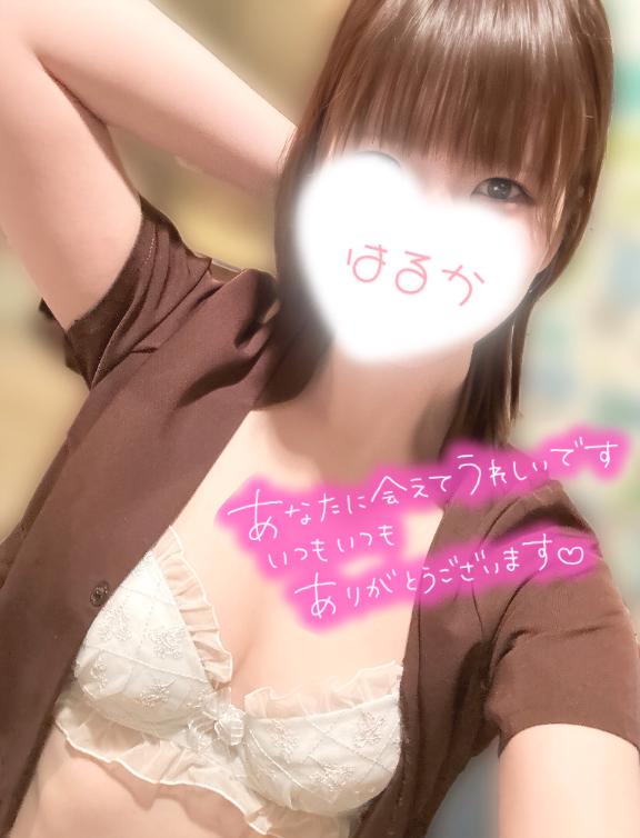 🌸 桜色舞う頃 🌸