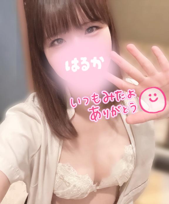 📸 なんとか出会えた…🐱💓