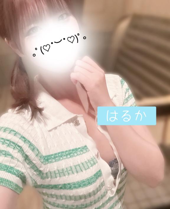 つい見ちゃうっ🦭💕