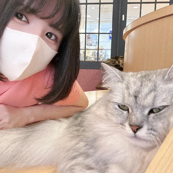 悩みますねえ…🤔💭
