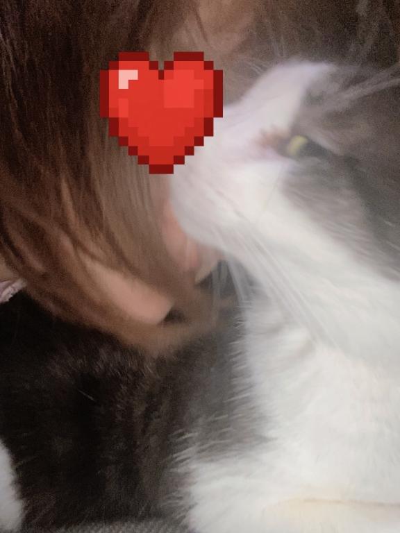 お猫様の為に頑張るぅ！
