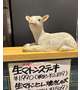 こんなに可愛い子を…🐑