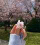 GWに関して⬆️