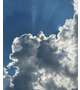 お空(°▽°)