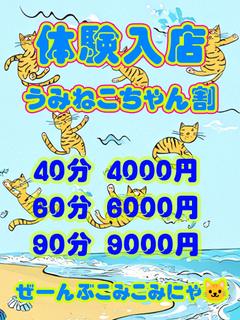 🔰うみねこちゃん🔰体験入店