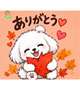 こんばんは☆彡