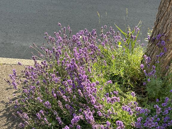 今日ご予約いただいてた方！