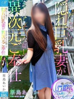 原島 あいか【隠れ巨乳の美人妻】
