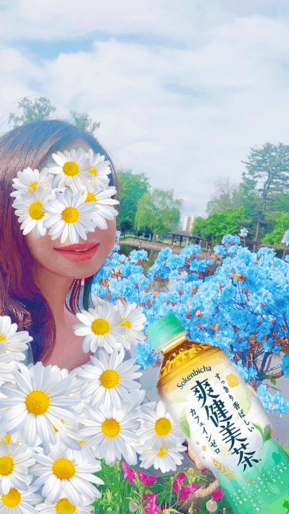 写メ日記サムネイル