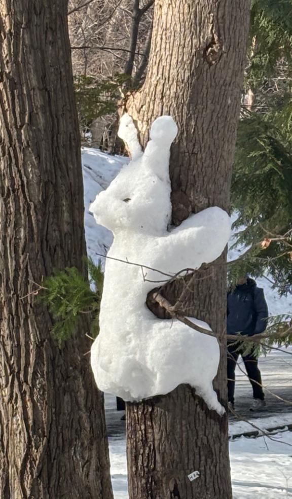 きにうさぎ。