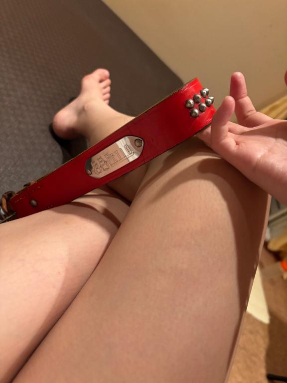 すこしだけいます！