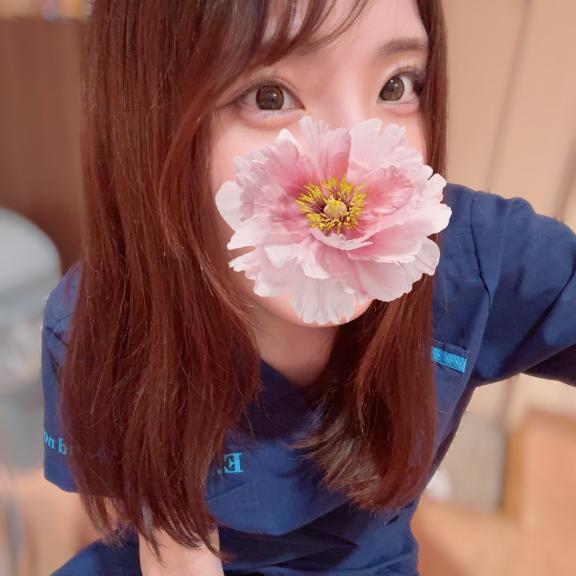 申し訳
