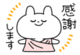 ７日のお礼です