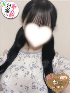 ねこ