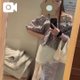 本日も♡