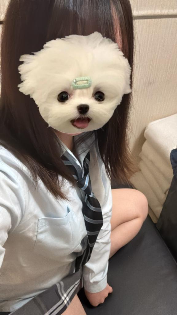 写メ日記サムネイル