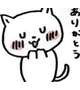 お礼6.1