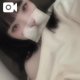 エロ肩女