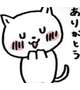 お礼5.9