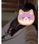 出勤しました🐱